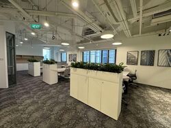 PLUS (D1), Office #561530371